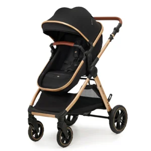 Poussette multifonctionnelle ESME 2en1 - Noir
