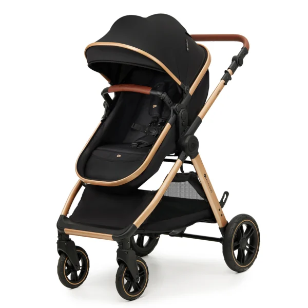 Poussette multifonctionnelle ESME 2en1 - Noir